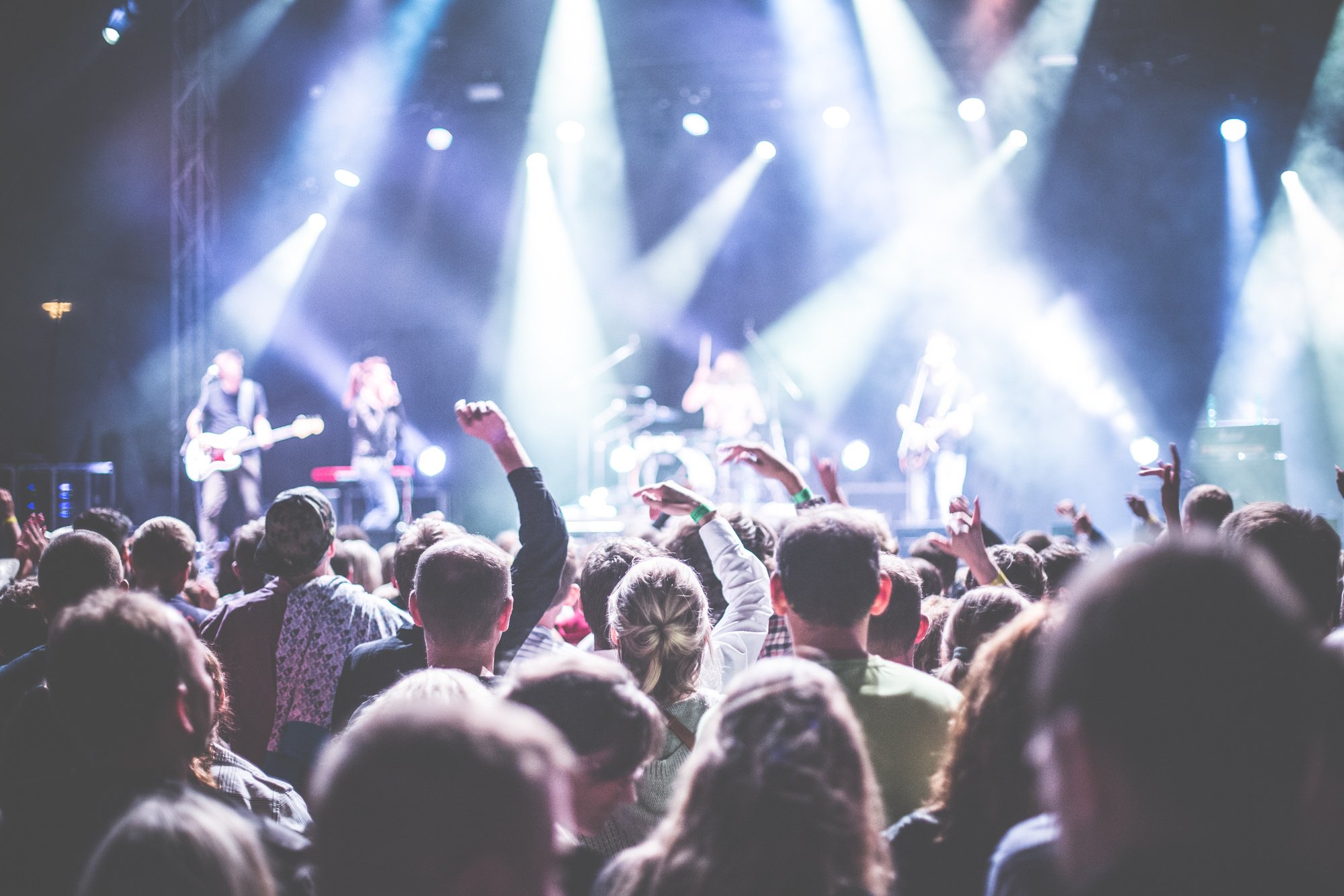 Crowd at Music Concert